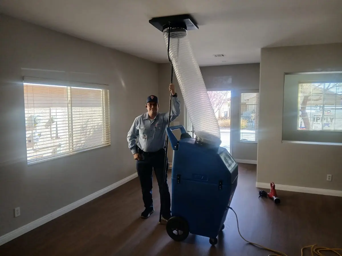 Professional Dryer Vent Cleaning work inside a Whitfield home